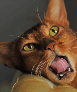 Cool Abyssinian Cat paint by numbers