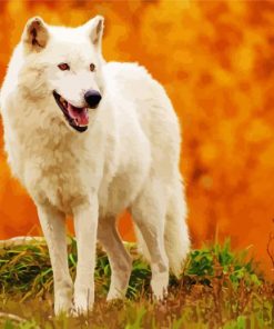 Aesthetic Arctic Wolf Animal paint by number