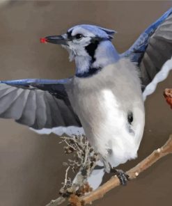 Blue Jays paint by numbers