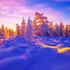 Landscape Winter paint by numbers