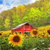 Cool Red Barn Sunflowers paint by numbers