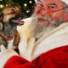 Santa With Dog paint by numbers