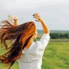 Prairie Woman In Wind paint by numbers