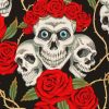 Skulls And Roses paint by numbers