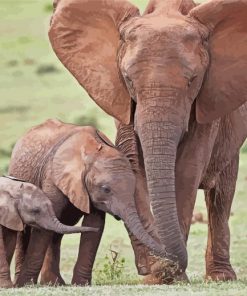 African Elephant And Two Babies paint by numbers