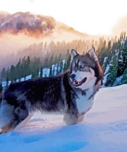 Alaskan Husky Dog paint by number