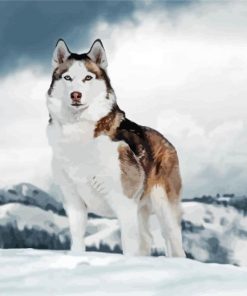 Alaskan Husky paint by number