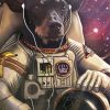 Animal Astronaut paint by number