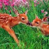 Animals With Flowers paint by numbers