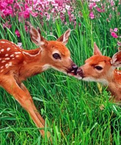 Animals With Flowers paint by numbers