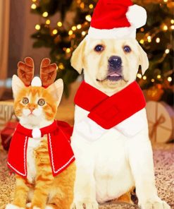 Animals Wearing Santa Clothes paint by number