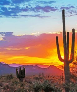 Arizona Sonoran Desert paint by number