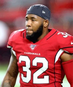 Arizona Cardinals Budda Baker Player paint by number