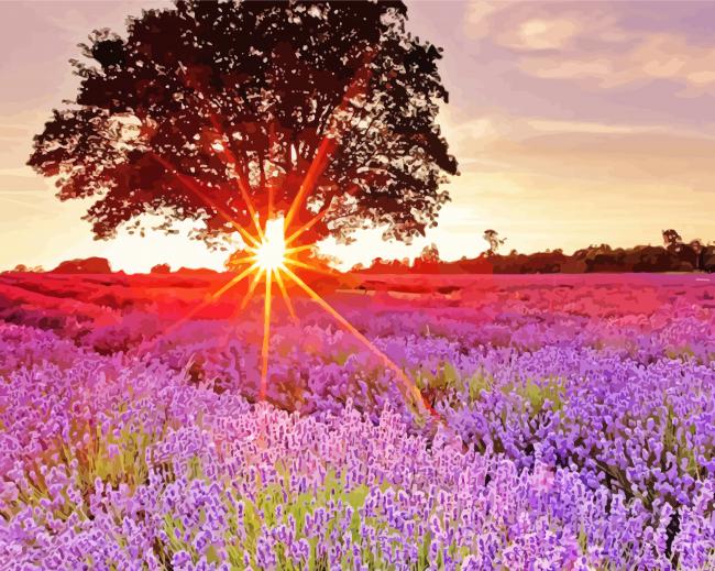 Artistic Lavendar Vie paint by numbers