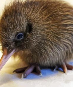 Baby Kiwi Bird paint by number