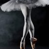 Ballerina flat paint by number