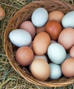 Basket Of Chicken Eggs paint by number