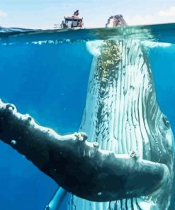 Big Whale Under Boat paint by number