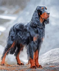 Big Gordon Setter paint by number