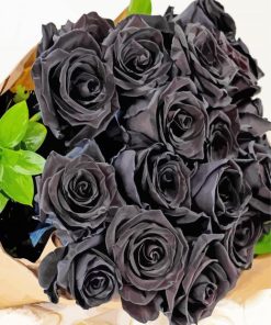Black Roses Bouquet paint by numbers