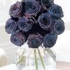 Black Roses In Jug paint by numbers