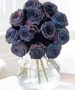 Black Roses In Jug paint by numbers