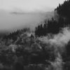 Black And White Nature paint by number