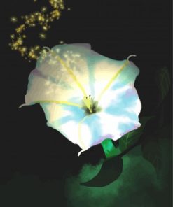 Blooming Moonflower paint by number