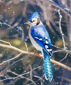 Blue Jays On Branche paint by numbers