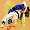 Brazilian Jiu Jitsu paint by numbers
