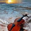 Brown Violin In Beach paint by numbers