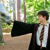 Buckbeak And Harry Potter paint by numbers