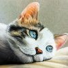 Pastel Cat paint by number