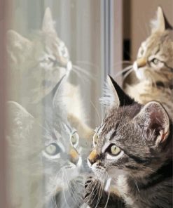 Cat Reflection paint by numbers