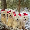 Christmas West Highland Terrier Dogs paint by number