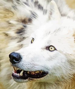 Close Up Arctic Wolf paint by number