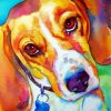 Colorful Beagle Animal Art paint by numbers