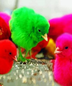 Colorful Chickens paint by number