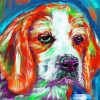 Colorful Beagle Puppy paint by numbers