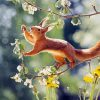 Cute Animal Squirrel paint by numbers