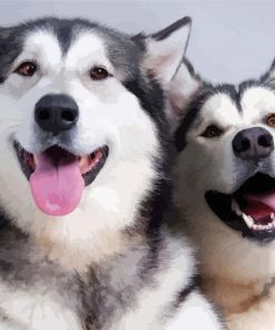 Cute Alaskan Huskies paint by number