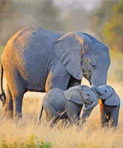 Cute Elephant And Two Babies paint by numbers