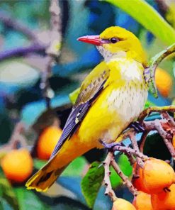 Cute Golden Oriole paint by number