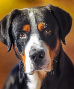 Cute Greater Swiss Mountain Dog paint by numbers