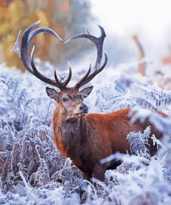 Deer Heart In Winter paint by numbers