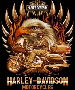 Eagle With Harley Davidson paint by numbers