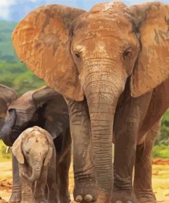 Elephant And Two Babies Animals paint by numbers