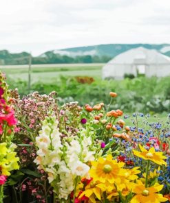 Floral Farm Flowers paint by numbers