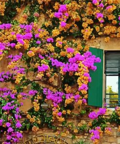 Flowers Wall paint by number