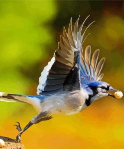 Flying Blue Jays paint by numbers